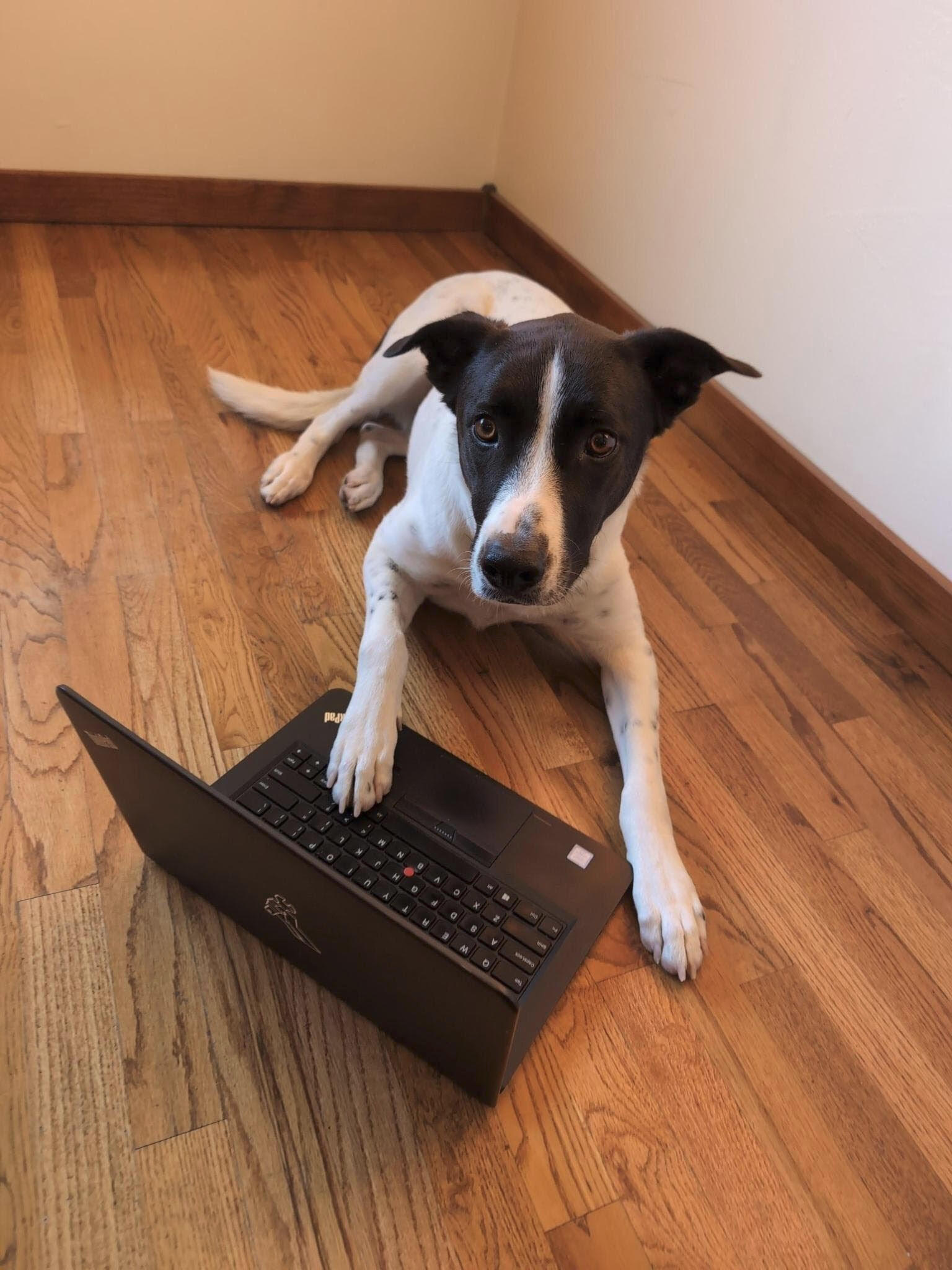 Fetching Data